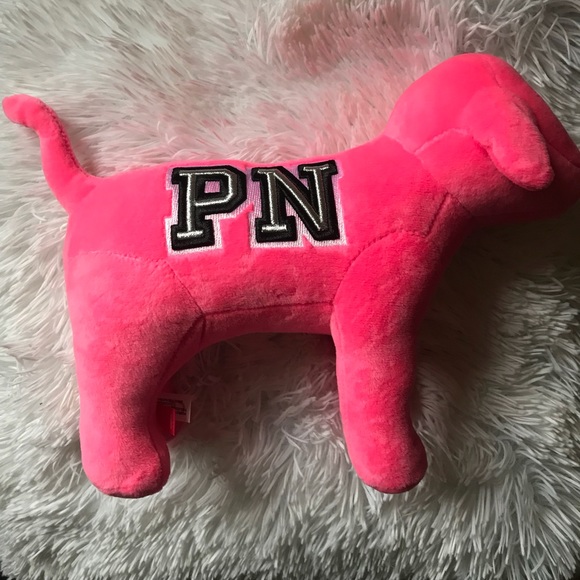 Pink nation dog - Picture 2 of 5